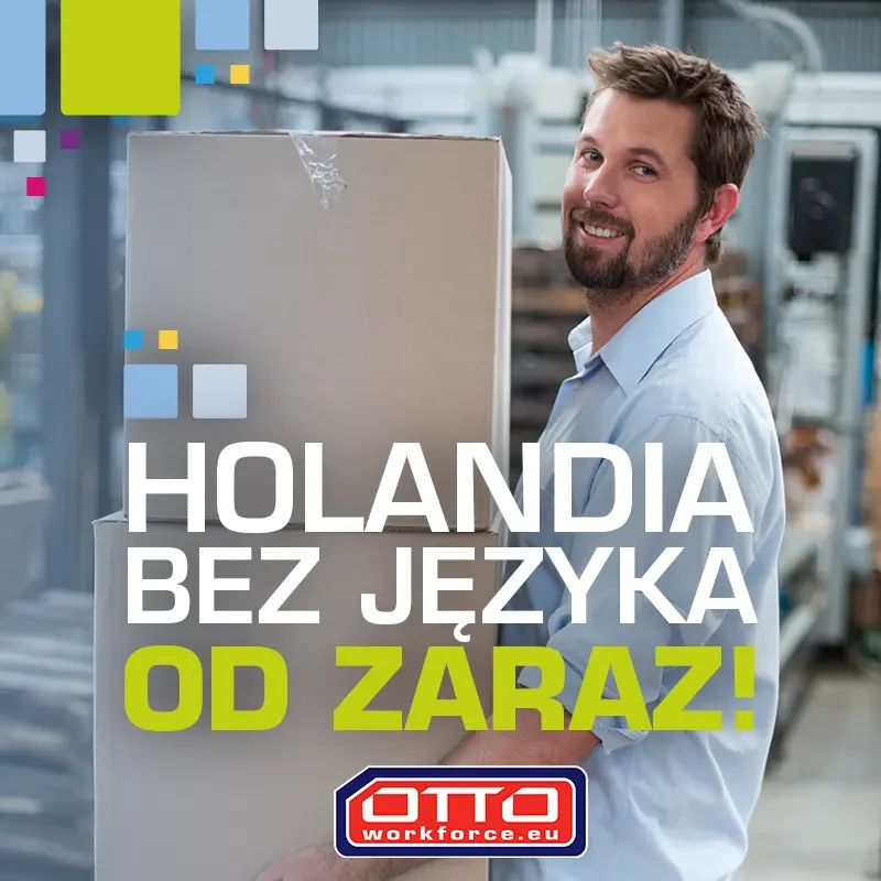 Praca BEZ języka | Albert Heijn Online |Aplikuj już teraz