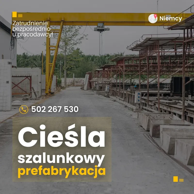 Cieśla szalunkowy. Niemcy, zakład prefabrykacji.