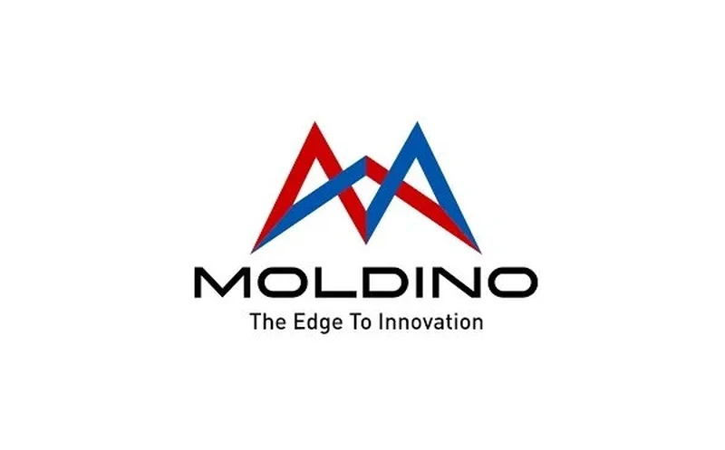 Application Engineer (m/f/d) Die & Mould Making - Poland