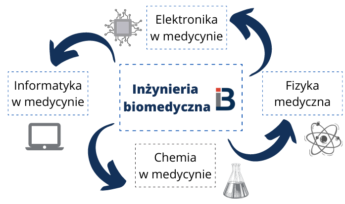 Inżynieria biotechnologiczna specjalizacje