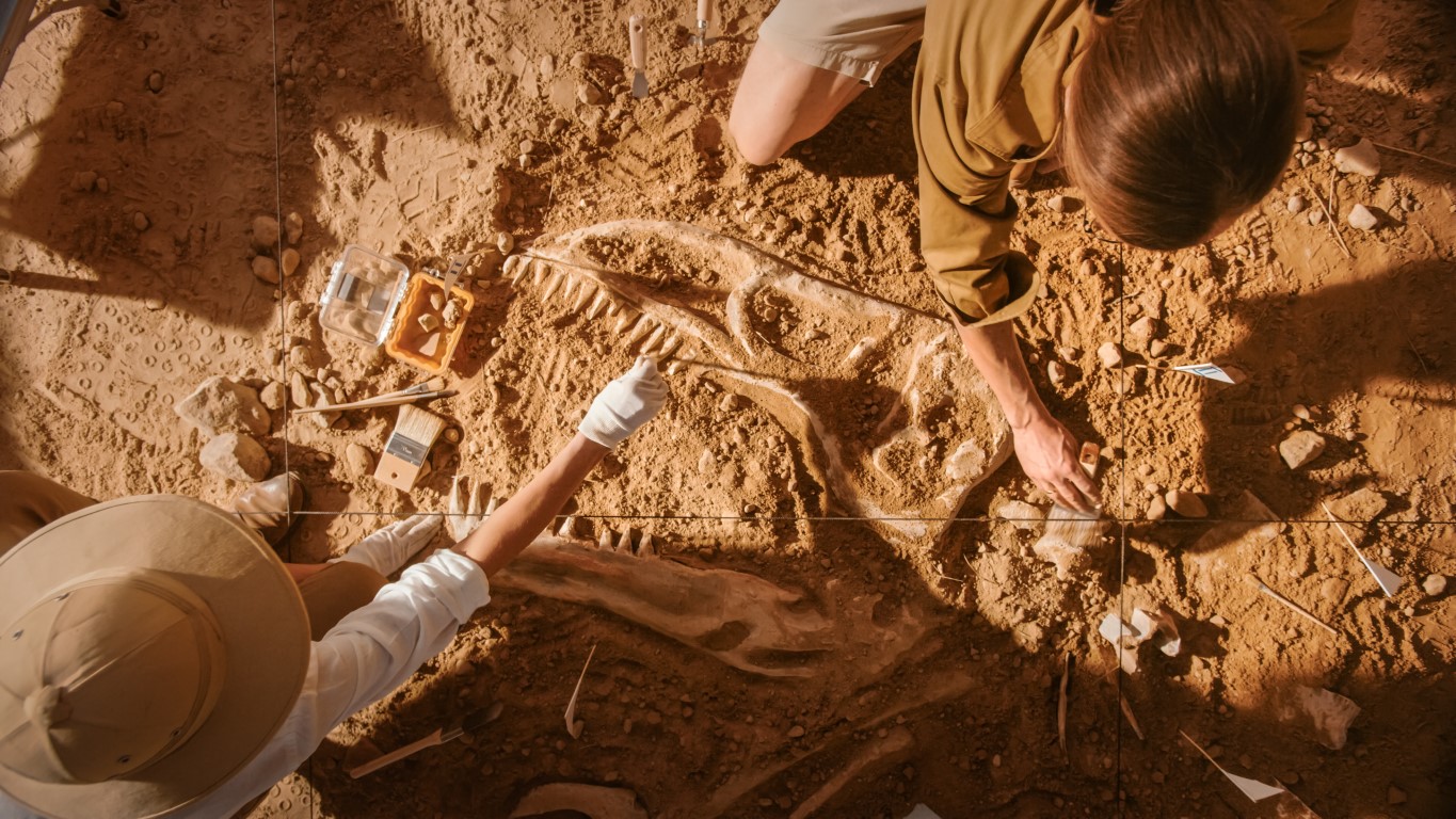 paleontolog